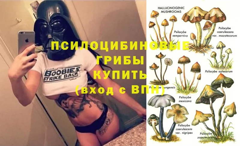 Псилоцибиновые грибы Magic Shrooms  хочу   Светлый 